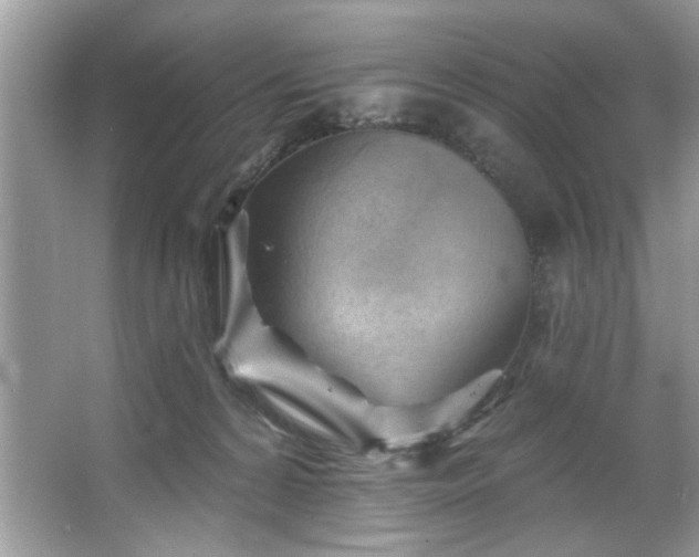 X0000067510224200604071300