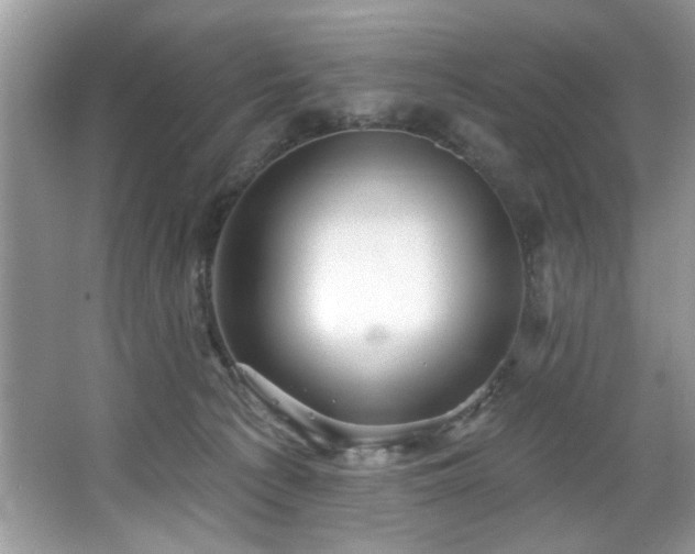 X0000067510225200604071300