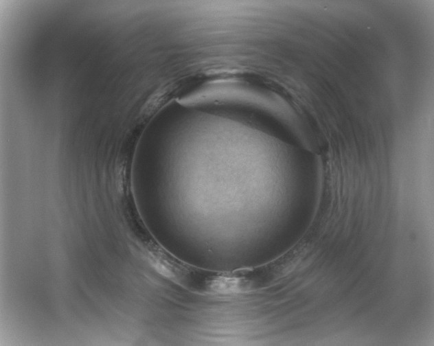 X0000067510227200604071300