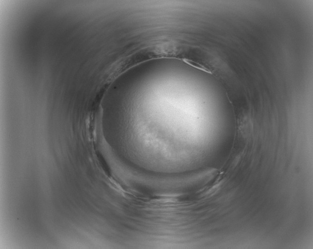 X0000067510233200604071300