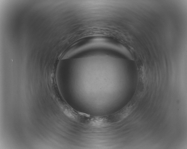 X0000067510235200604071300