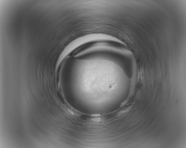 X0000067510237200604071300
