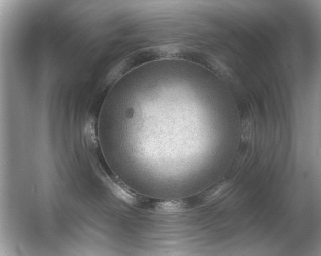 X0000067510238200604071300