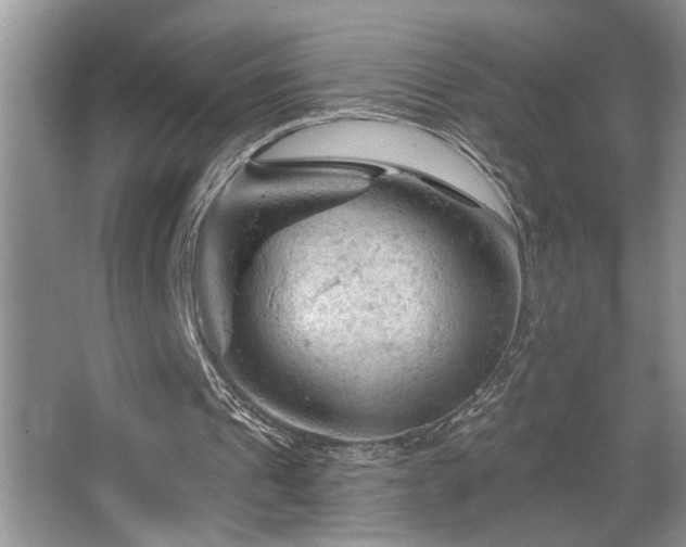X0000067510241200604071259