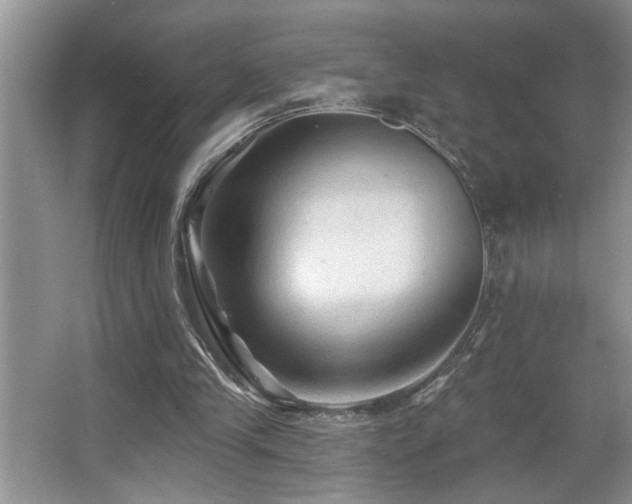 X0000067510245200604071259