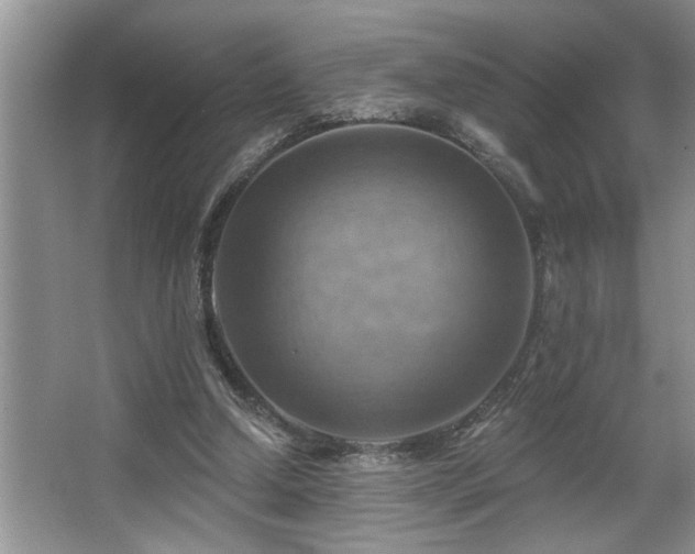 X0000067510250200604071259
