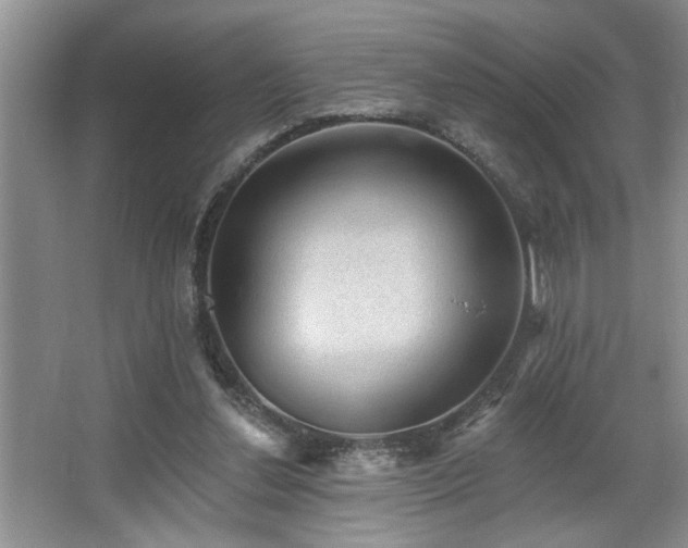 X0000067510252200604071259