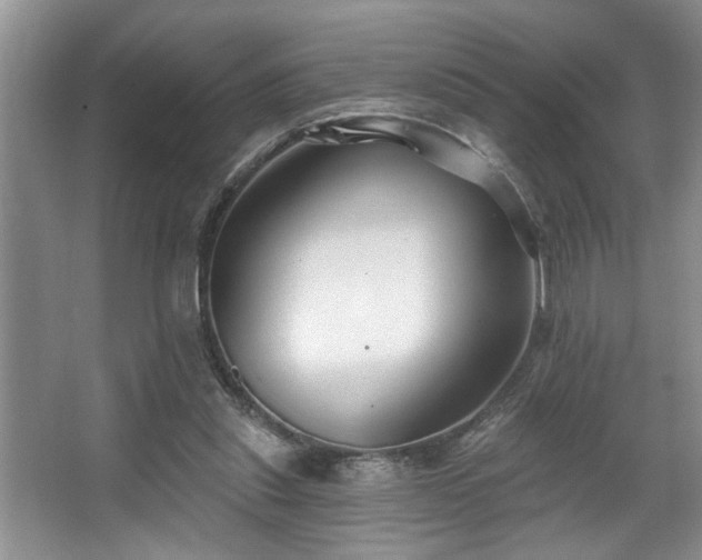 X0000067510253200604071259