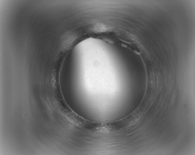 X0000067510259200604071259