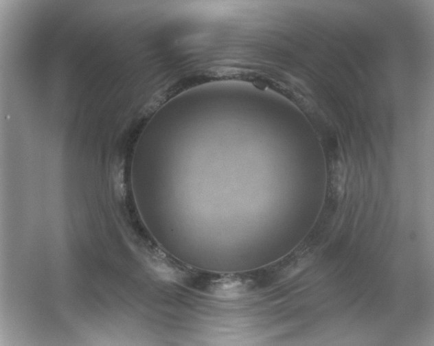 X0000067510267200604071300