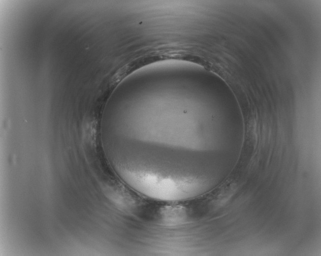 X0000067510271200604071300