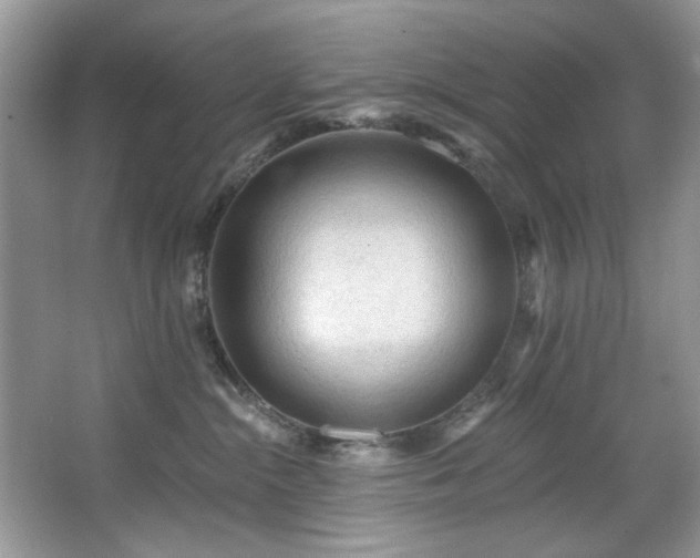 X0000067510284200604071300