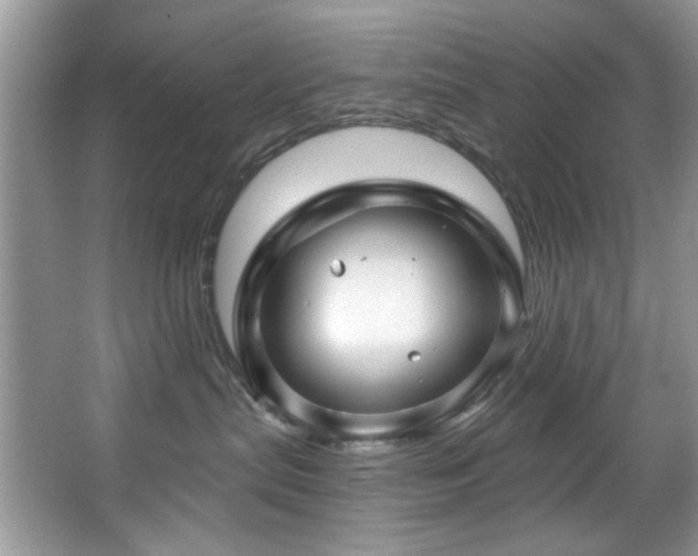 X0000067510287200604071300