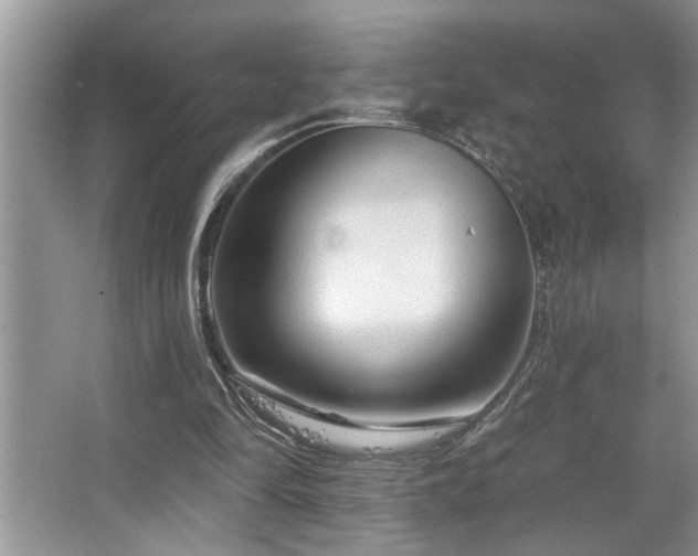 X0000067510294200604071259