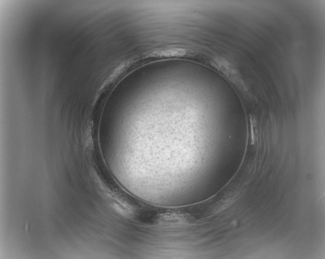 X0000067510300200604071259