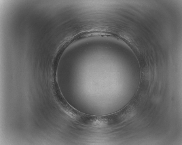 X0000067510303200604071259
