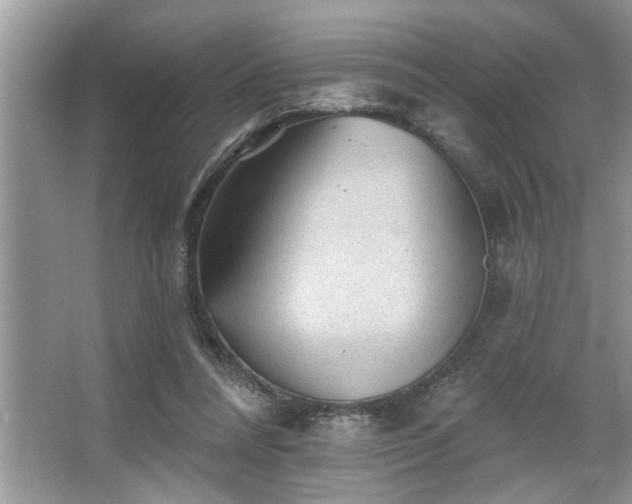 X0000067510304200604071259