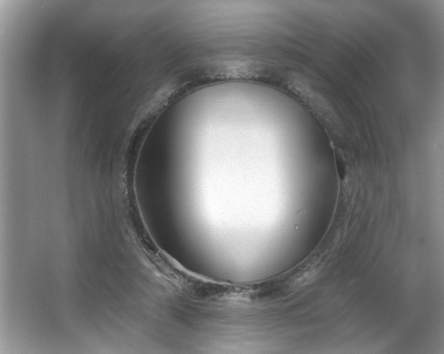 X0000067510306200604071259
