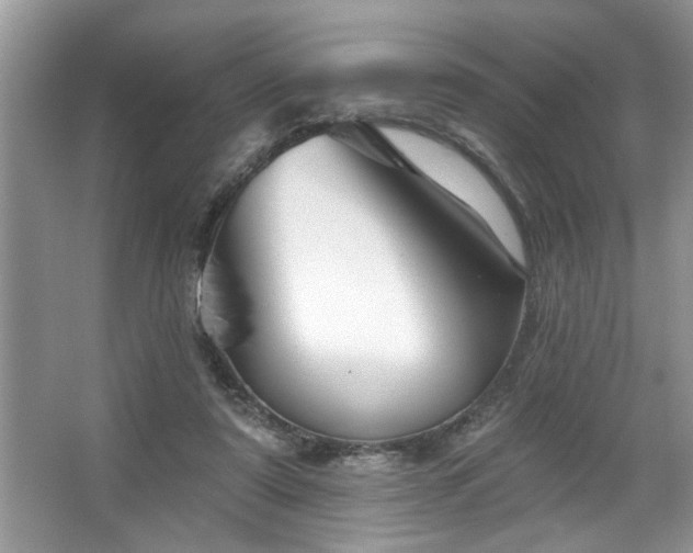 X0000067510307200604071259