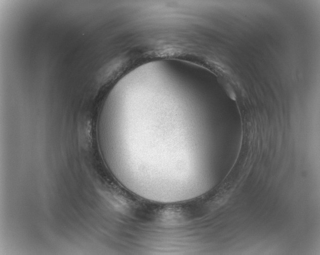 X0000067510308200604071259