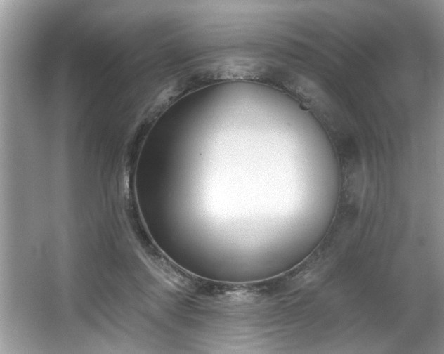 X0000067510310200604071259