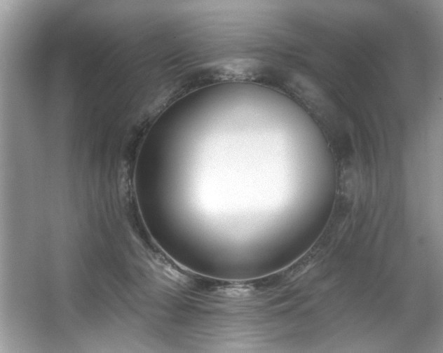 X0000067510318200604071259