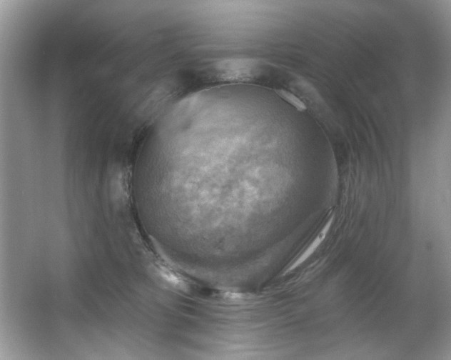 X0000067510325200604071259