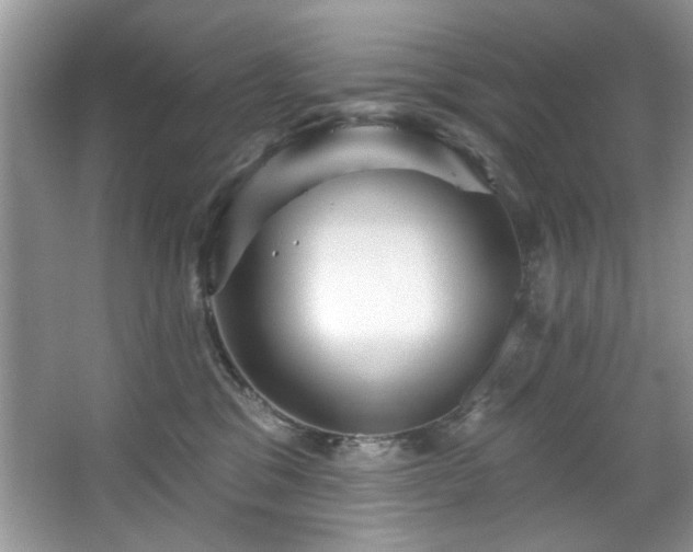X0000067510329200604071258