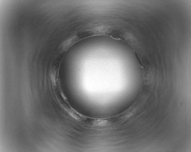 X0000067510334200604071258