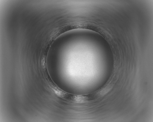 X0000067510336200604071258
