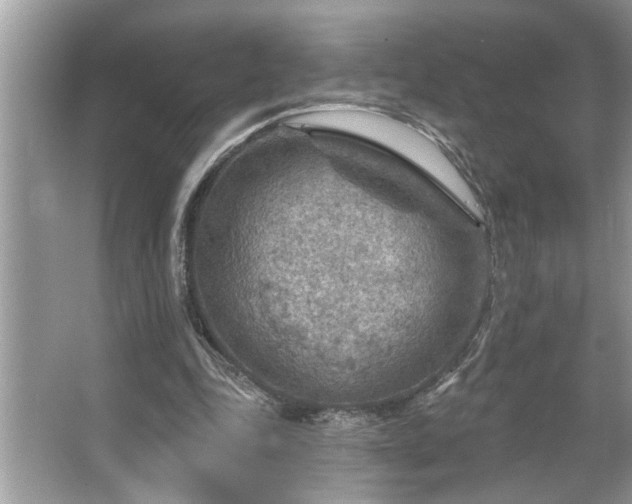 X0000067510343200604071258