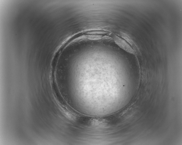 X0000067510346200604071258