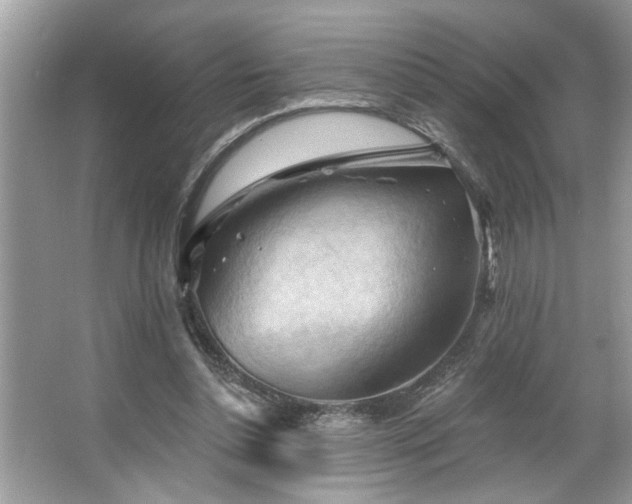 X0000067510348200604071258