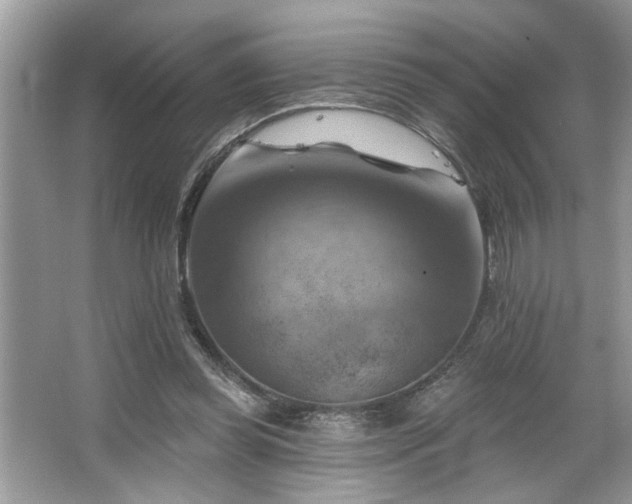 X0000067510349200604071258