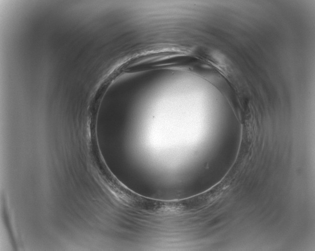 X0000067510350200604071258
