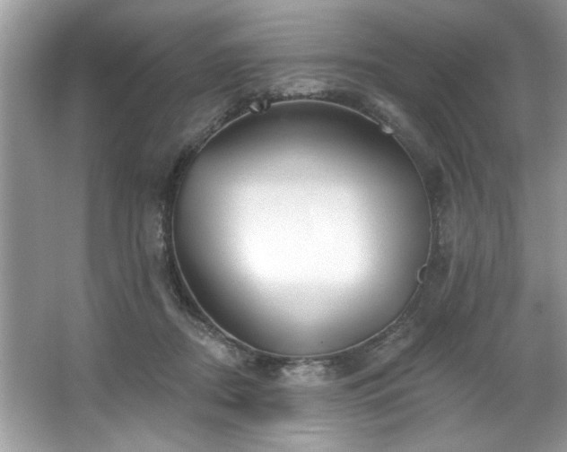 X0000067510362200604071258
