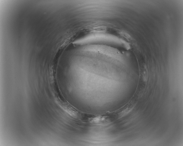 X0000067510366200604071258