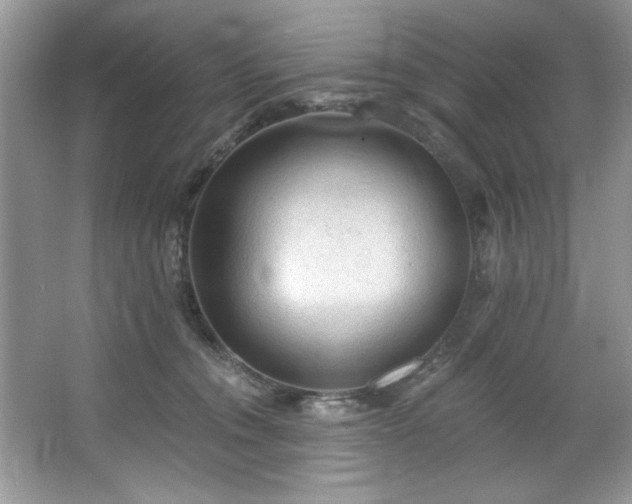 X0000067510372200604071258