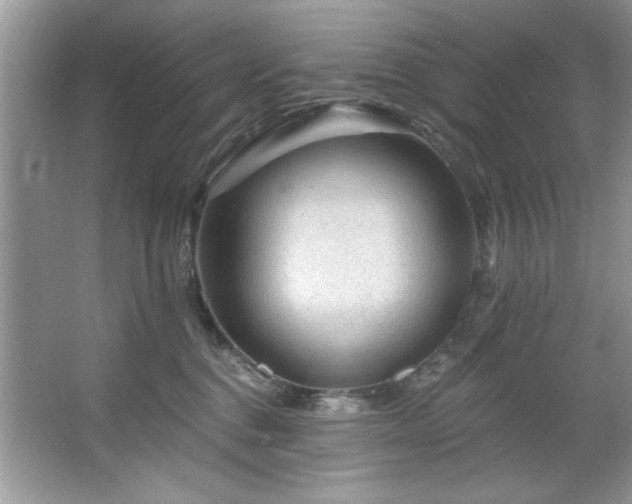X0000067510376200604071258