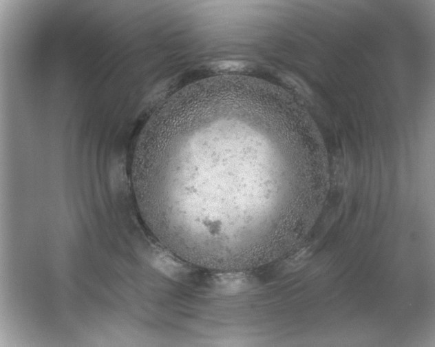 X0000067510377200604071258