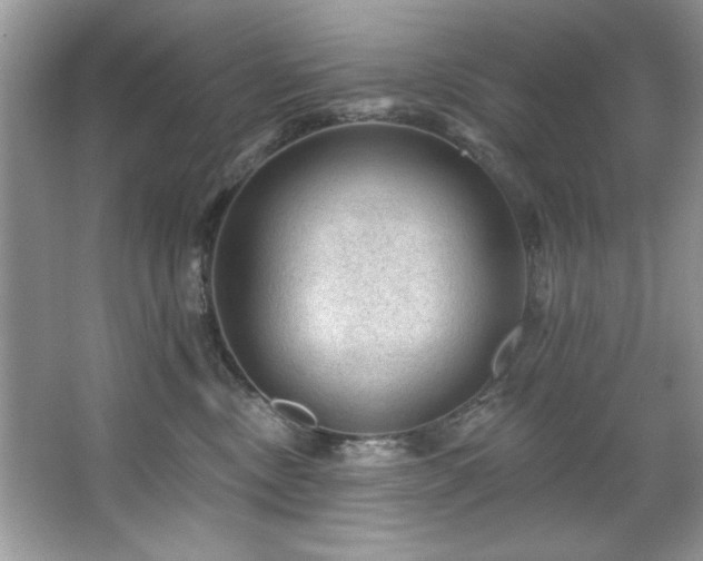 X0000067510378200604071258