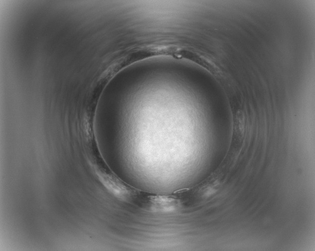 X0000067510380200604071258
