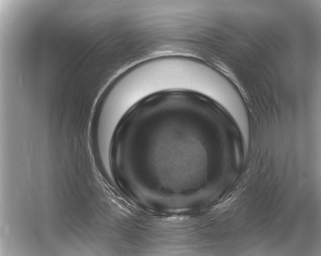 X0000067510387200604071258
