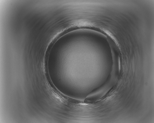 X0000067510391200604071257