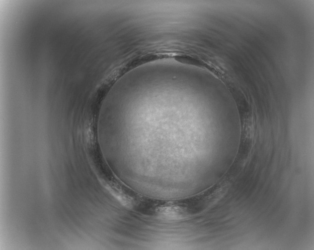 X0000067510408200604071257