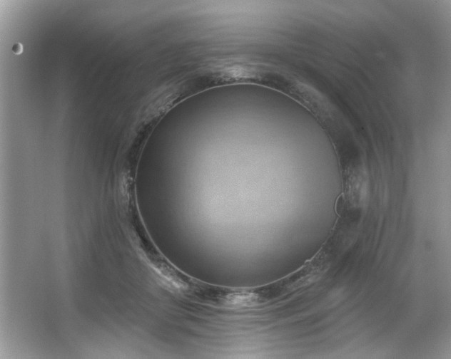 X0000067510410200604071257