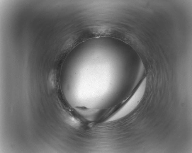 X0000067510416200604071257
