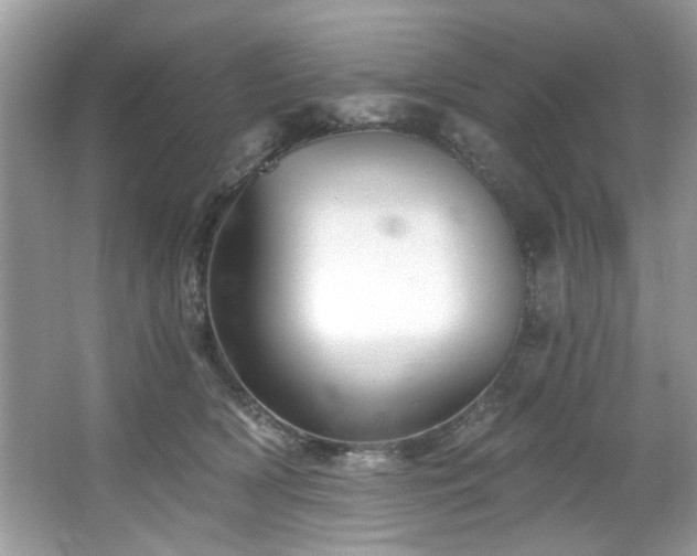 X0000067510418200604071257