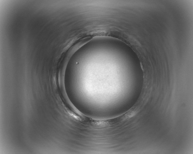 X0000067510432200604071257