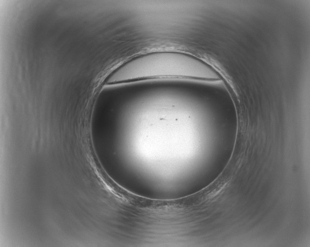X0000067510433200604071256